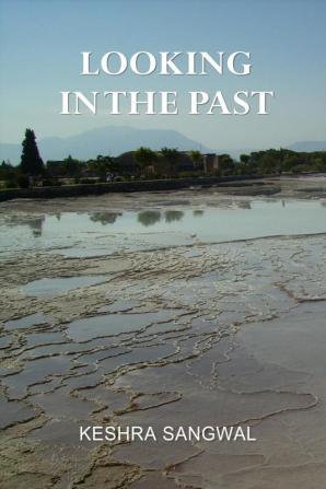 Looking in the Past : A collection of 6 stories and an essay