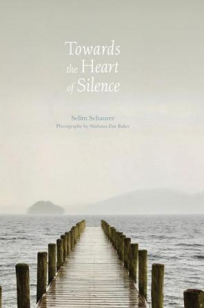 Towards the Heart of Silence