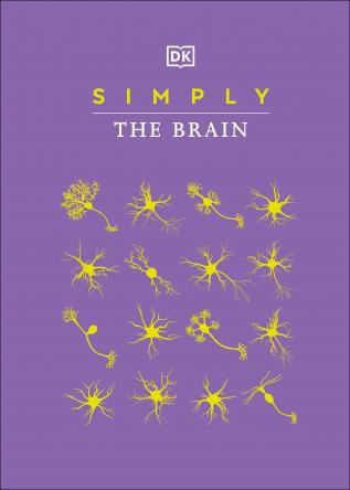 Simply The Brain