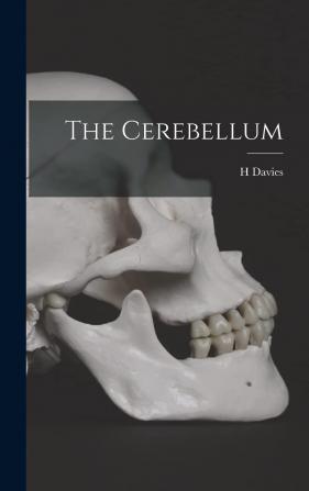 The Cerebellum