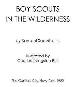 Boy Scouts in the Wilderness