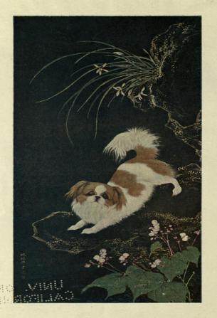 Dogs of China & Japan in Nature and Art