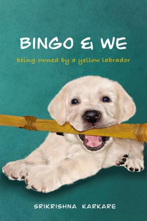 Bingo &amp;amp; We : Being owned by a yellow Labrador