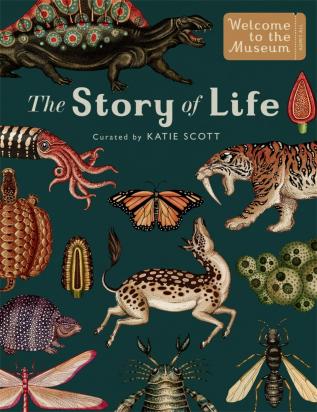 STORY OF LIFE (EXTENDED EDITION)