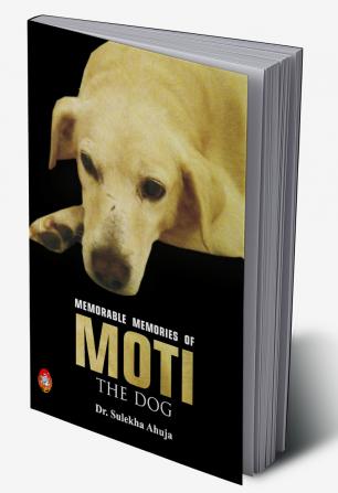 Memorable Memories of MOTI the Dog