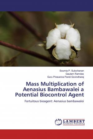 Mass Multiplication of Aenasius Bambawalei a Potential Biocontrol Agent