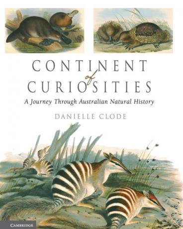 Continent of Curiosities