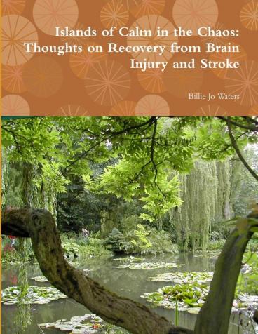 Islands of Calm in the Chaos: Thoughts on Recovery from Brain Injury and Stroke