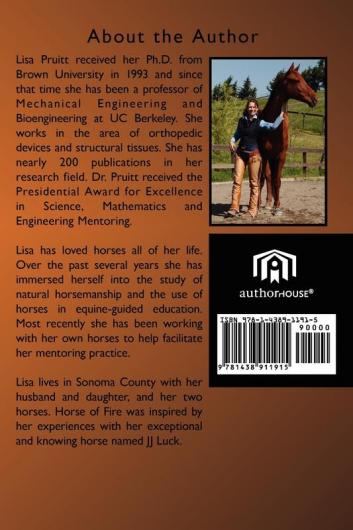Horse of Fire: The Story of an Extraordinary and Knowing Horse