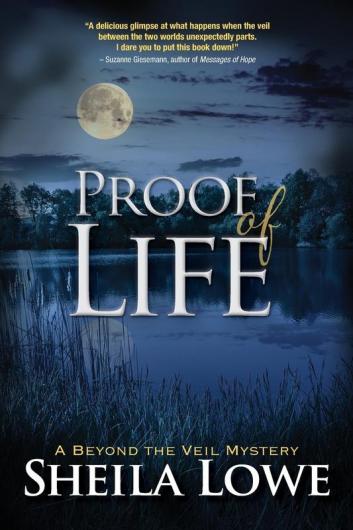 Proof of Life: 2 (Beyond the Veil Mystery)