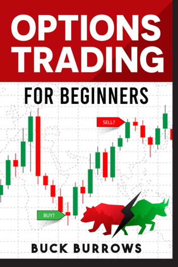 Options Trading for Beginners The Ultimate Guide to Options Trading and Investing (2022 Crash Course for Newbies)