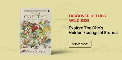 Discover Delhi's Wild Side