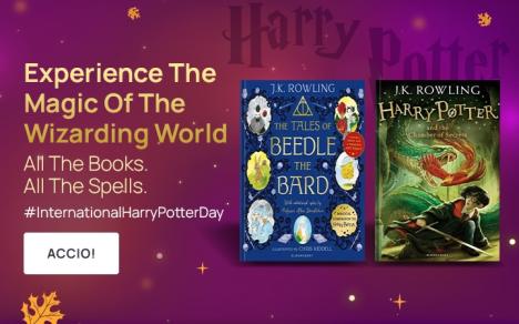 harry potter, wizard, potterhead