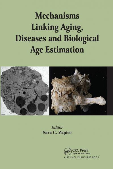 Mechanisms Linking Aging Diseases and Biological Age Estimation