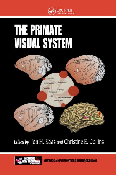 Primate Visual System