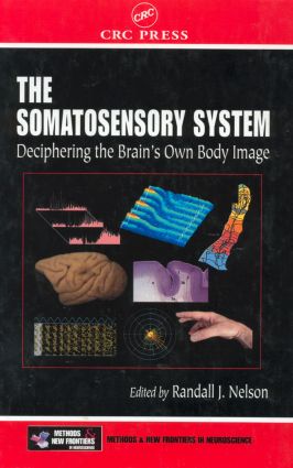Somatosensory System