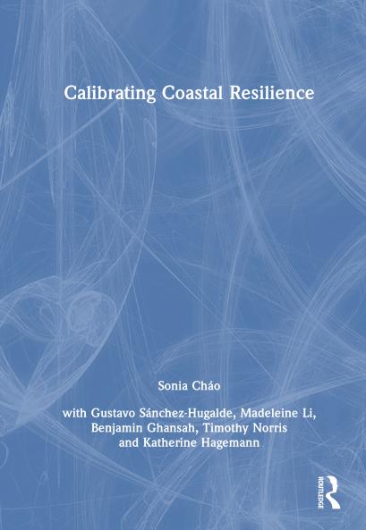 Calibrating Coastal Resilience