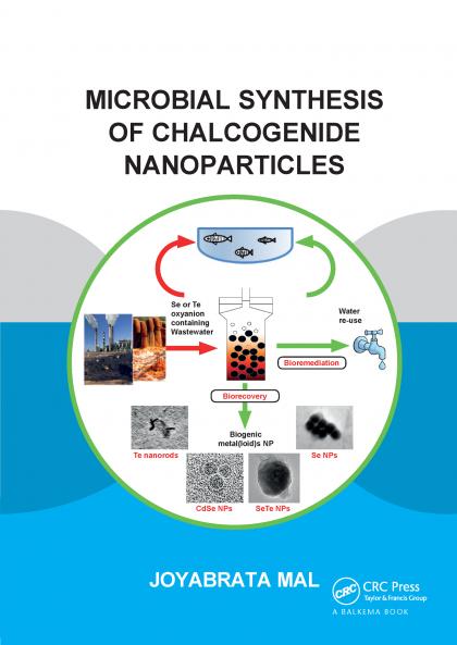 Microbial Synthesis of Chalcogenide Nanoparticles