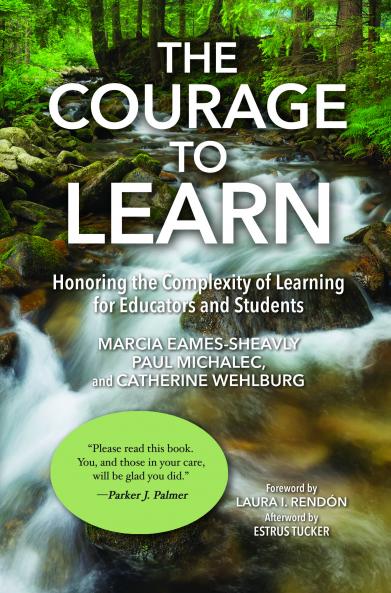 Courage to Learn