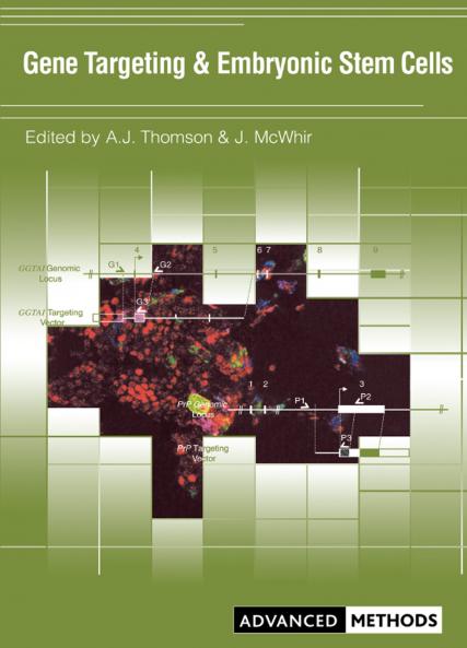 Gene Targeting and Embryonic Stem Cells