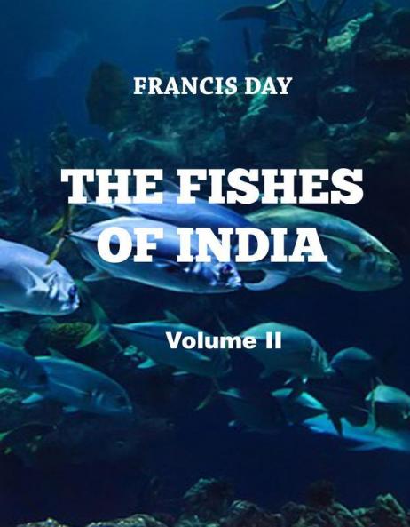 The Fishes of India (Vol II)