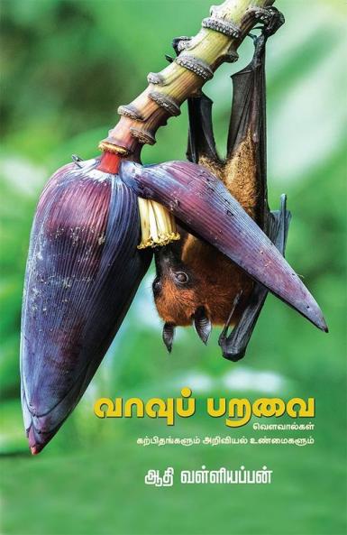 Vaavup Paravai