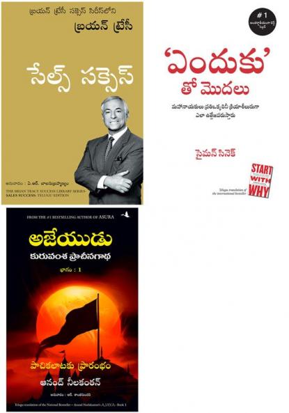 Sales Success  + Start With Why + Ajaya