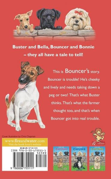 Bouncer