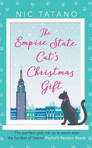 Empire State Cat's Christmas Gift