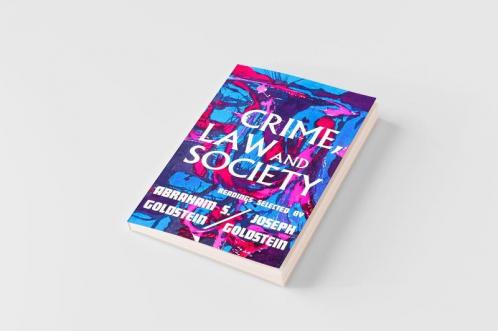 Crime Law and Society