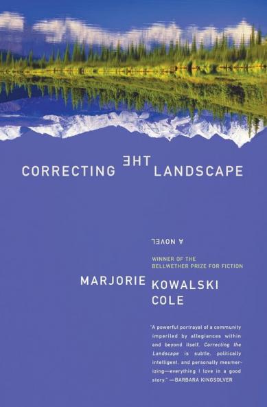 Correcting the Landscape
