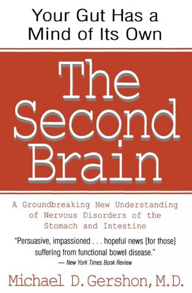 Second Brain