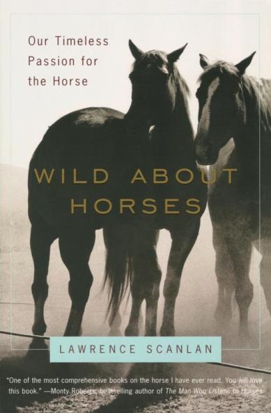 Wild about Horses
