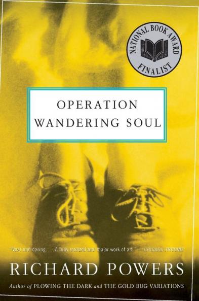 Operation Wandering Soul