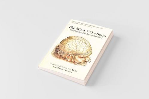 Mind and the Brain