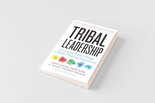 Tribal Leadership
