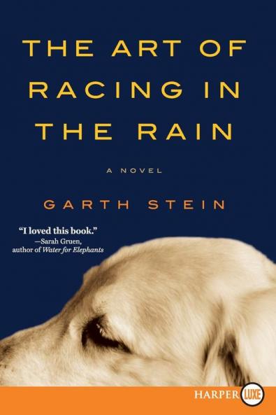 Art of Racing in the Rain