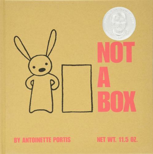 NOT A BOX BOARD BOOK