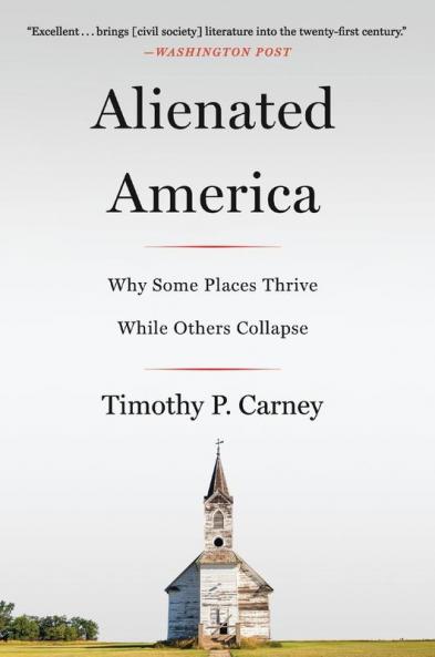 Alienated America