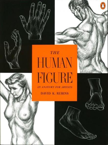 Human Figure