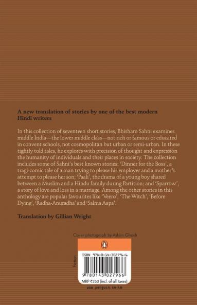 Middle India: Selected Short Stories