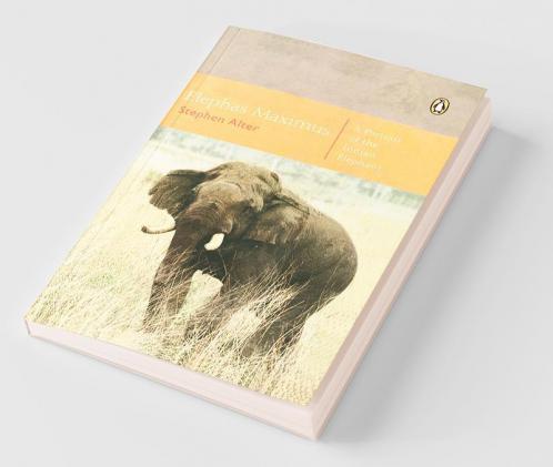 Elephas Maximus