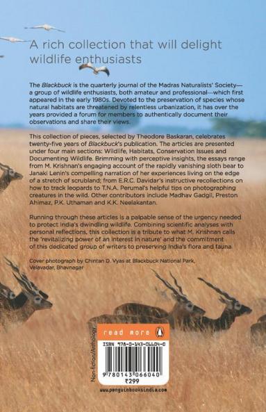 Sprint of The Blackbuck