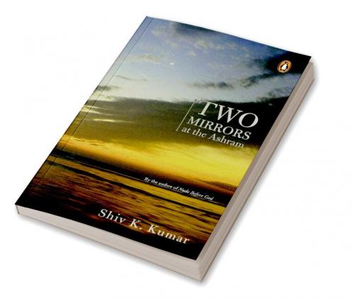 Two Mirrors at the Ashram