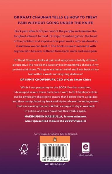 Pain HandbookThe: A Non-Surgical Way to