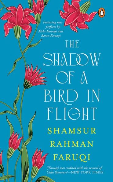 Shadow of a Bird in Flight