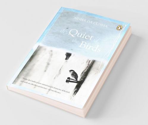 Quiet Of The Birds