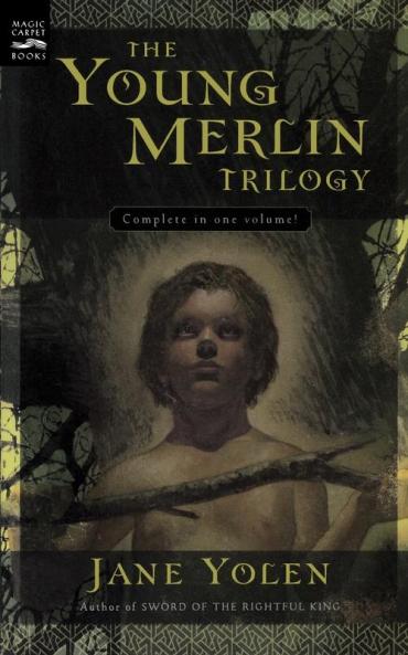 Young Merlin Trilogy