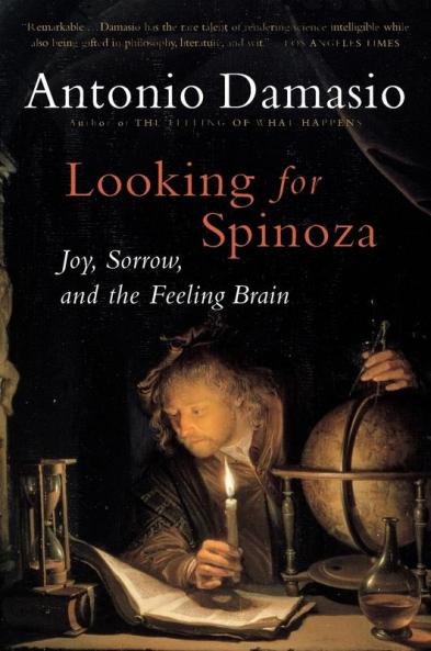 Looking for Spinoza
