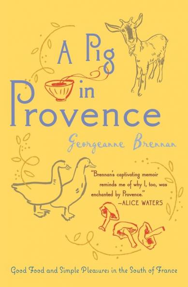 Pig in Provence